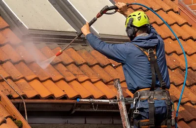 Démoussage et hydrofuge de toiture à Tauriac